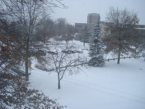 BinghamtonUniversity Campus7