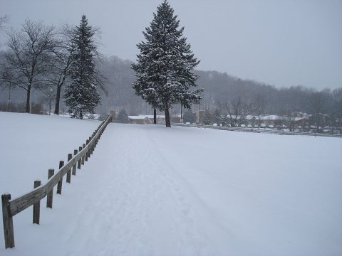 BinghamtonUniversity Campus6