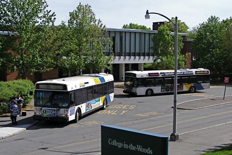BC Transit buses