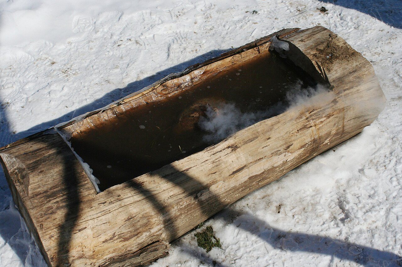 Maple sugar demonstration 3