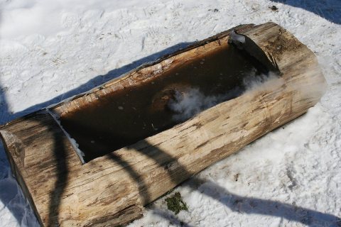 Maple sugar demonstration 3