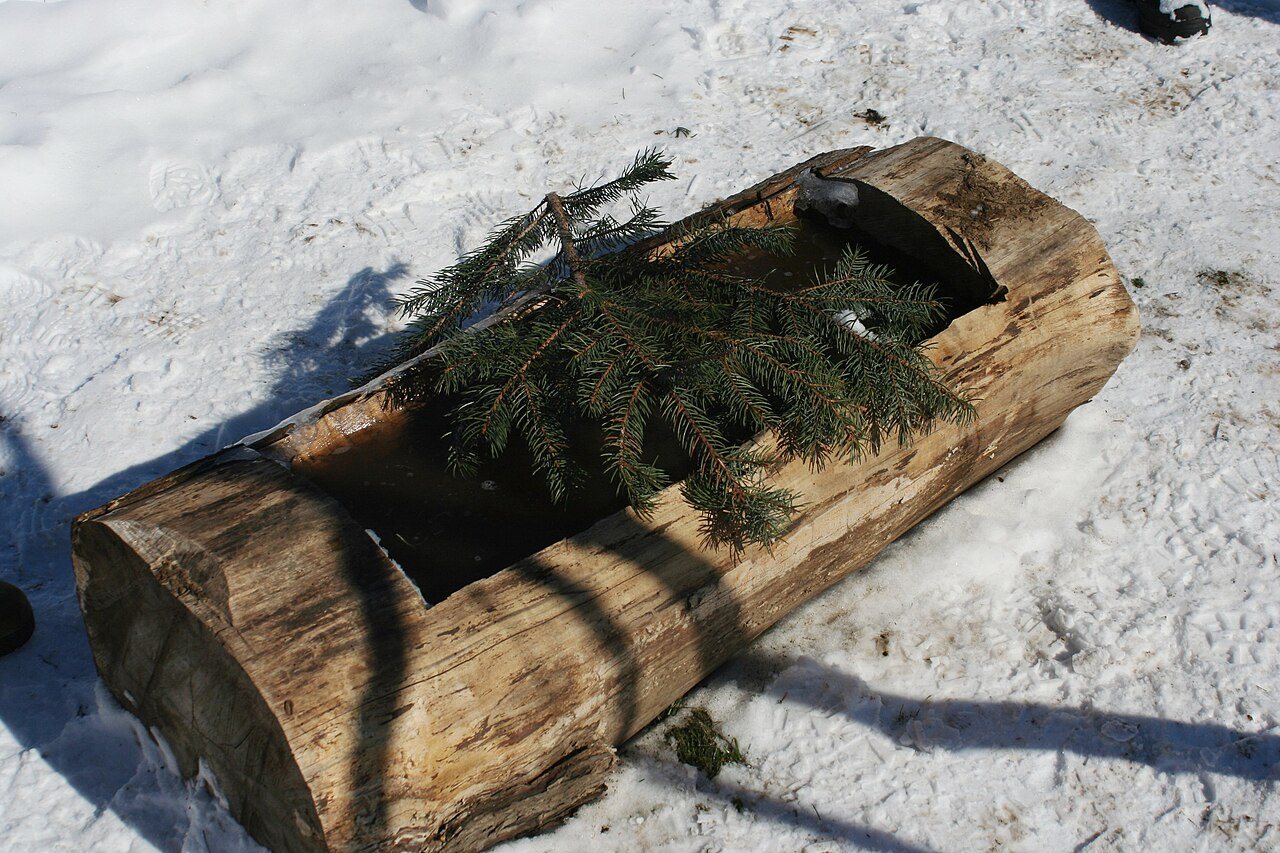 Maple sugar demonstration 4