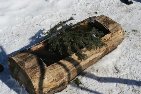 Maple sugar demonstration 4