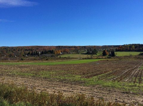 Old State Road, Town of Allen, New York, October 2015