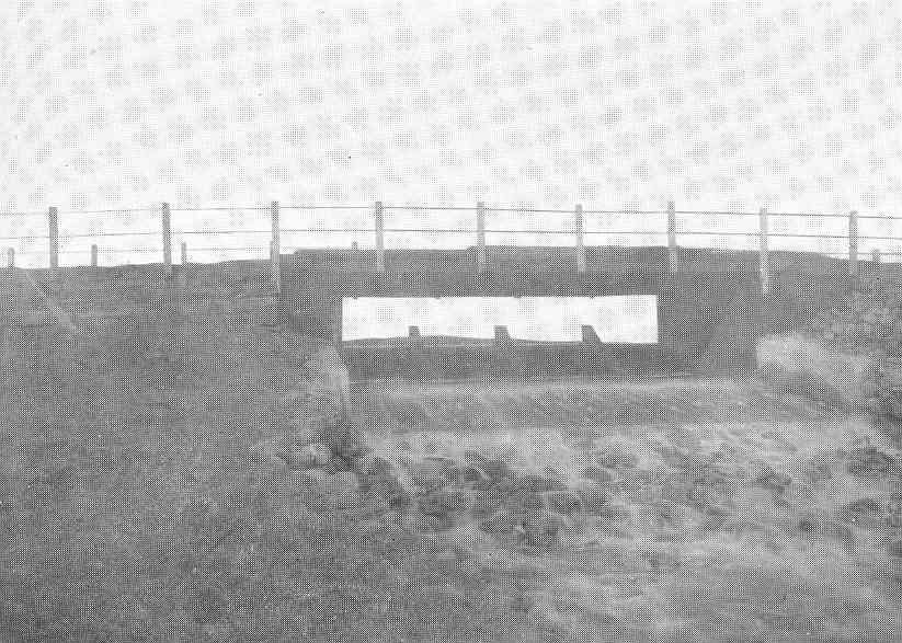 FMIB 47356 Dam on Frederick Creek, Hatchery Water Supply