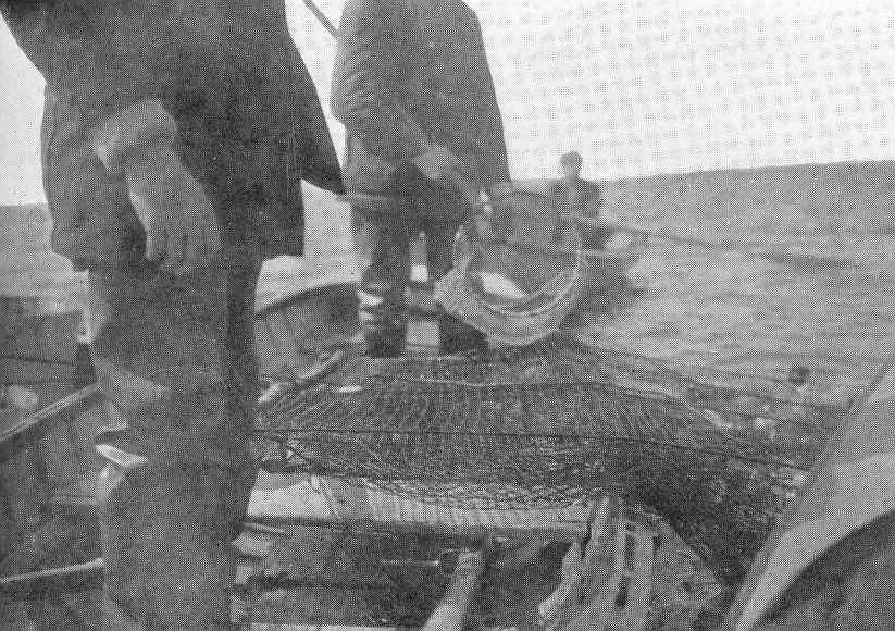FMIB 47364 Hauling Trap Net with Pike Perch Constantia, 1912