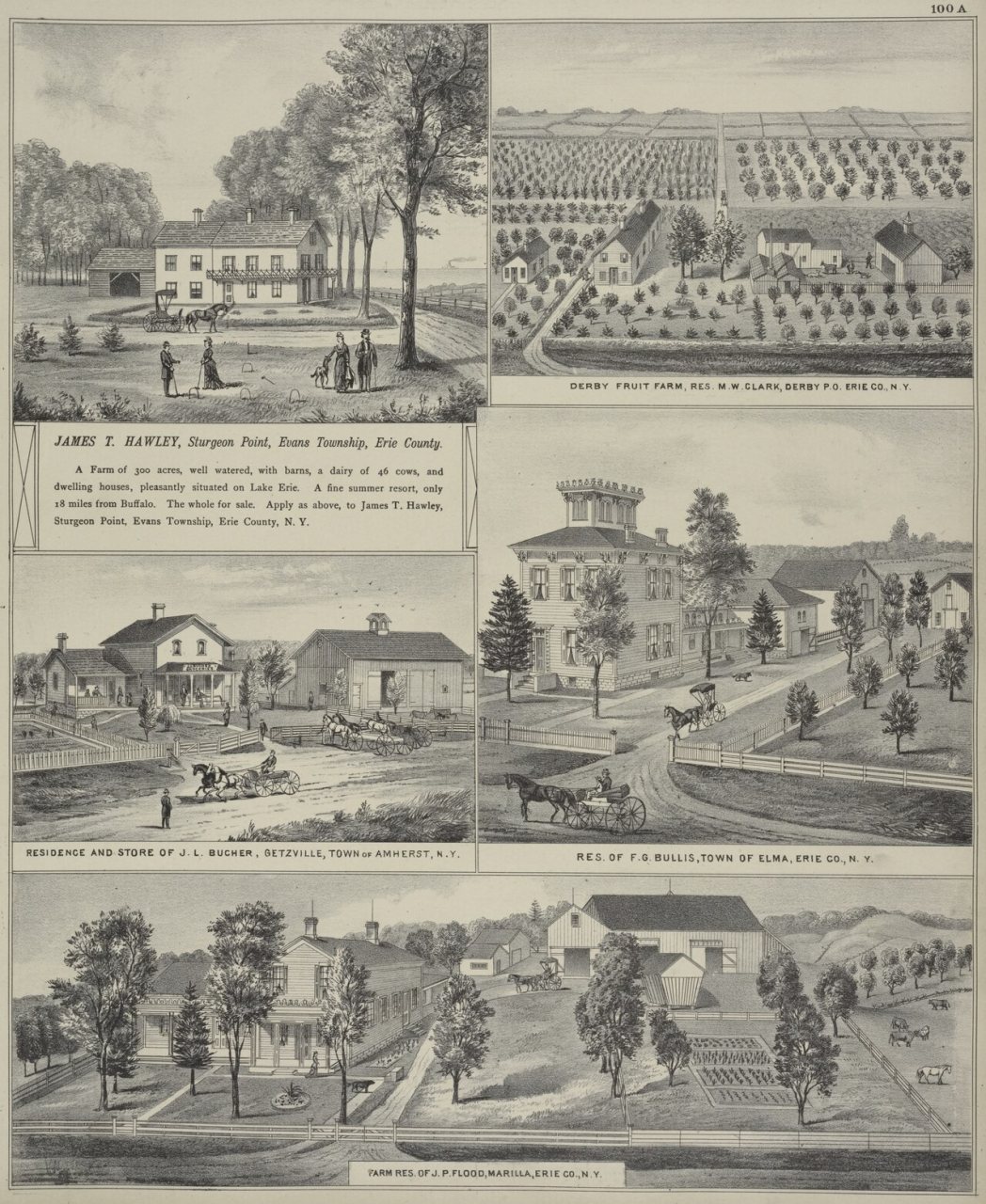 James T. Hawley, Sturgeon Point, Evans Township, Erie County.; Residence and Store of J. L. Getzville, Town of Amherst,…