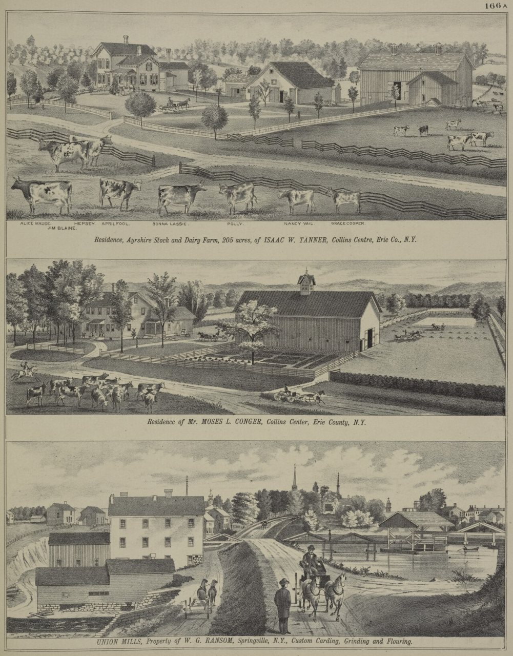Residence, Ayrshire Stock and Dairy Farm, 205 acres, of Isaac W. Tanner, Collins Center, Erie Co., N.Y.; Residence of M…