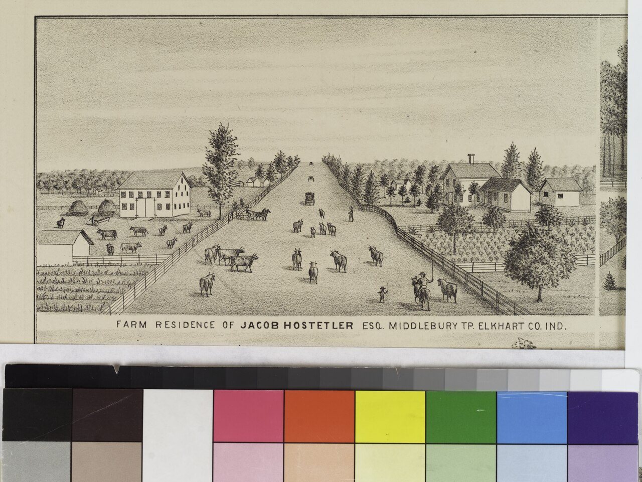 Farm and Residence of J. Fitch ESQ., Aurelius Township, Cayuga Co., N.Y; Group of Fine Horses Belonging to J. Fitch, ES…