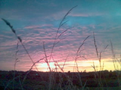 Sunset on middle road 2 - Flickr - mamamusings