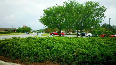 Parking lot in front of the Verizon Store facing east