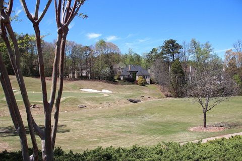 Crooked Creek, Milton, Georgia April 2017