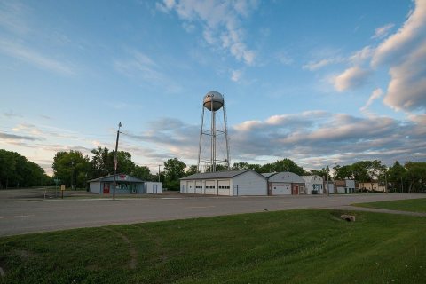 Buffalo