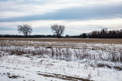 An early-winter scene near the town of Arvilla in Grand Forks County, North Dakota, near the city of the same name