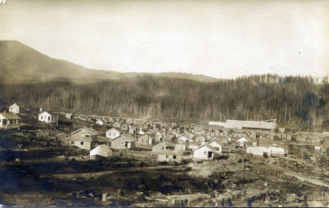 Bird's Eye View, circa 1912