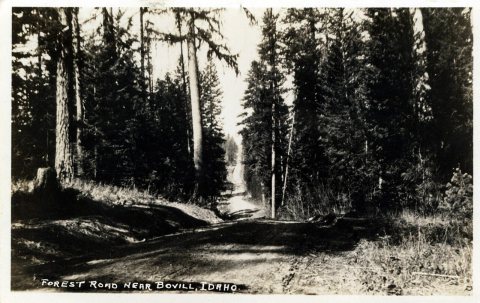 Forest Road, circa 1930