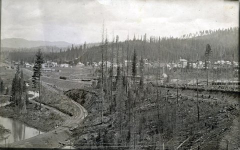 Bird's Eye View, 1911