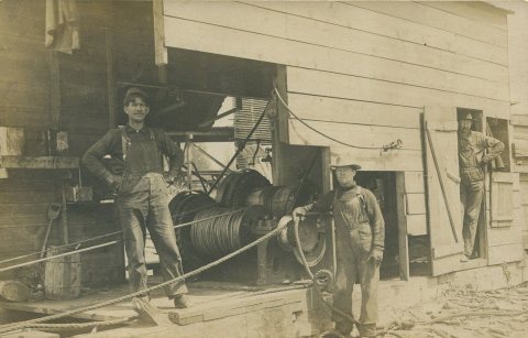 Laborers Yarding Logs, 1909