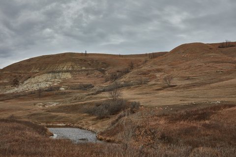 A barren-brown late fall scene along the White Earth River near Stanley, North Dakota