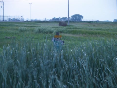 Bartlett, North Dakota