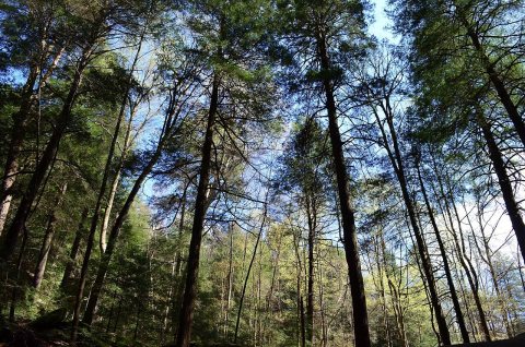 Benton Township, OH, USA - panoramio (3)