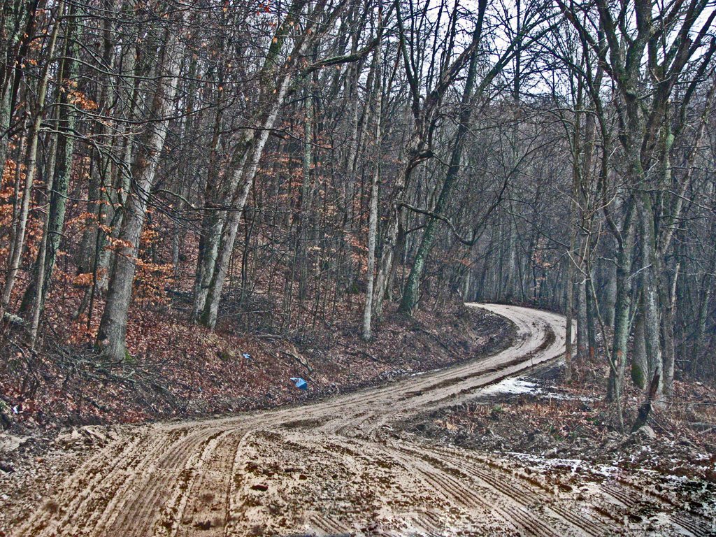 White Oak Hill Road in winter