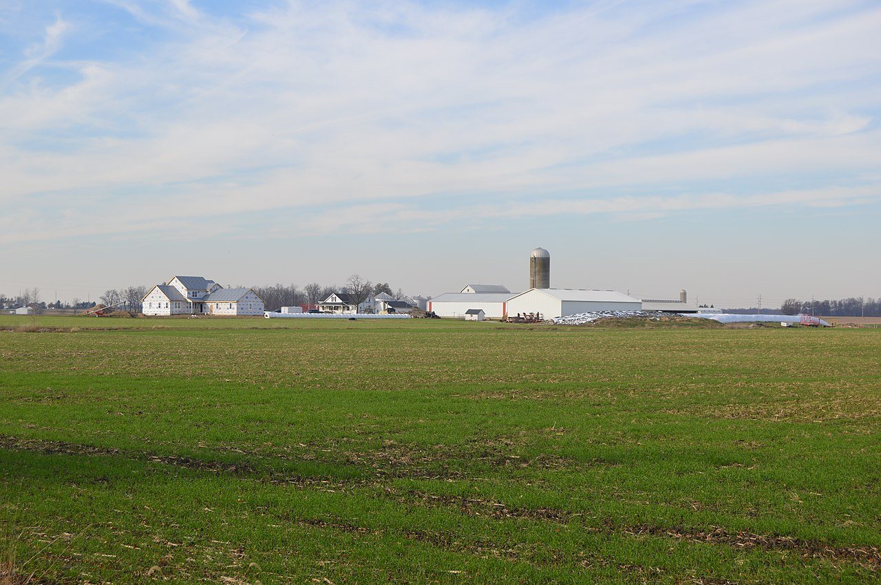 Fort Loramie-Swanders Road wheat farm