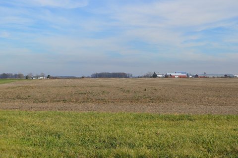 Holthaus Road fallow field, southwest of Fort Loramie