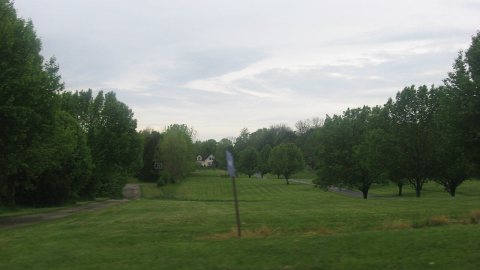 Bone Stone Graves site overview