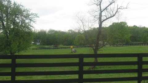 Bone Mound II site overview