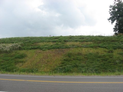 Hillside at the Gartner Site