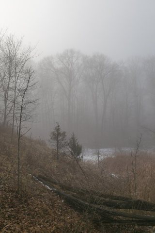 Winter Scenery — Perry Township, Franklin County, Ohio