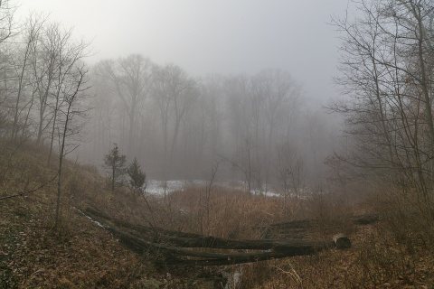 Winter Scenery — Perry Township, Franklin County, Ohio