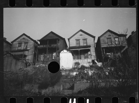 Untitled photo, possibly related to: Backyard