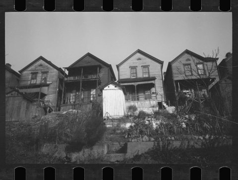 Untitled photo, possibly related to: Backyard