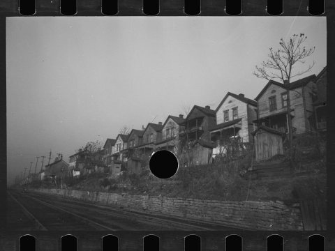 Untitled photo, possibly related to: Backyard