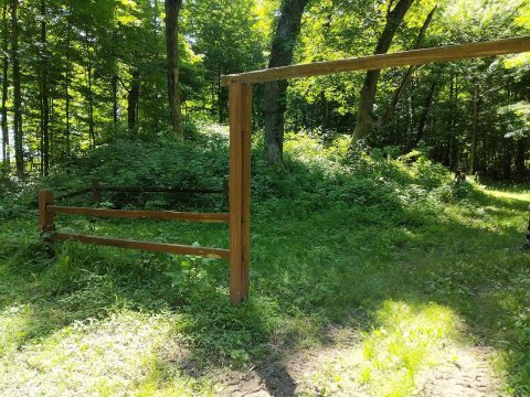 Coon Hunter's Mound in 2020