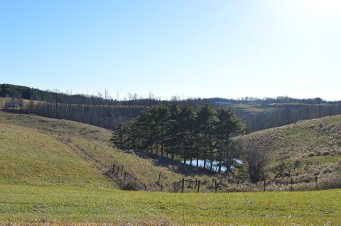 South of Flauhaus Road