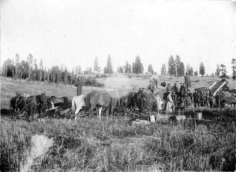 Farm workers threshing wheat, Troy, Idaho, 1891