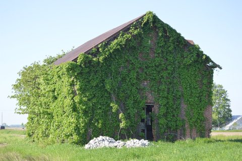 Oil Center and Liberty Hi schoolhouse