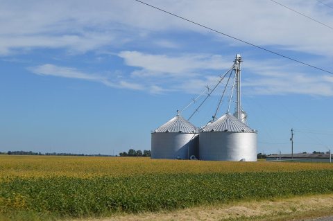 Claibourne Township soybean farm