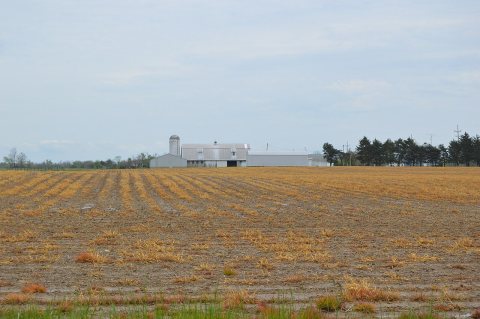 Clinton Township southeastern farmstead