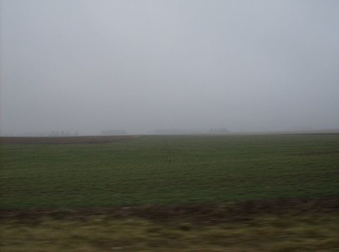 Wheat field in Allen Township