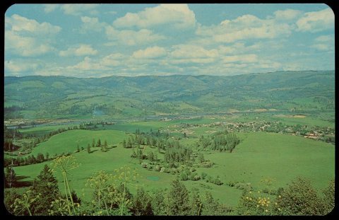 Panoramic View, circa 1955