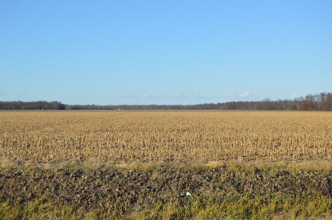 Brown Township stubble fields