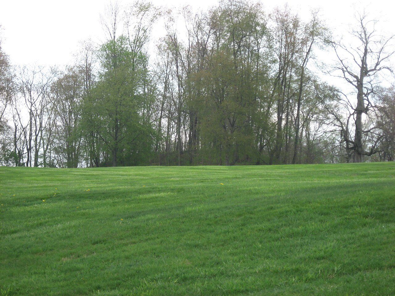 Stackhouse Mound