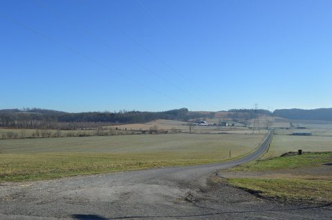 Swaney from Cove in Scioto Township