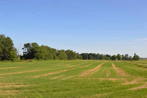 Pleasant Township soybean fields on 47