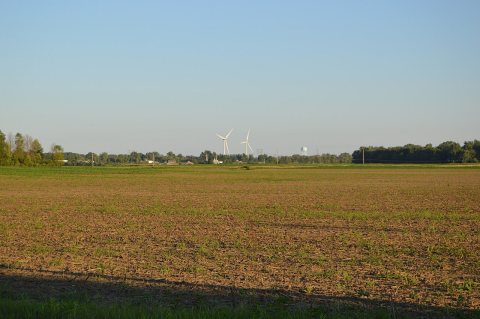 Stokes Township fallow fields