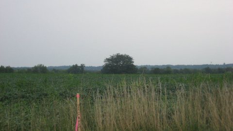 Roberts Mound from State Route 129